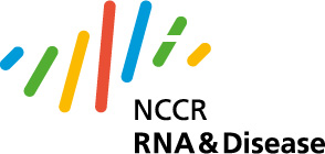 Vergr?sserte Ansicht: NCCR RNA & Krankheit