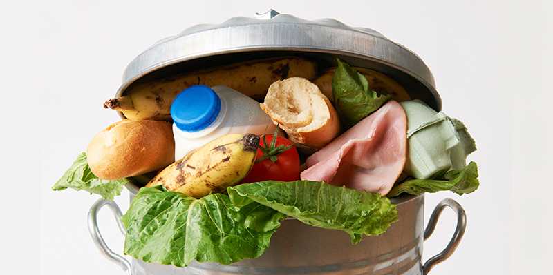 Vergr?sserte Ansicht: Lebensmittel in Mülltonne