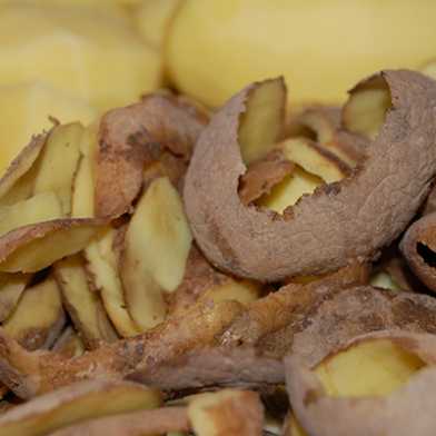 Kartoffeln im Kompost