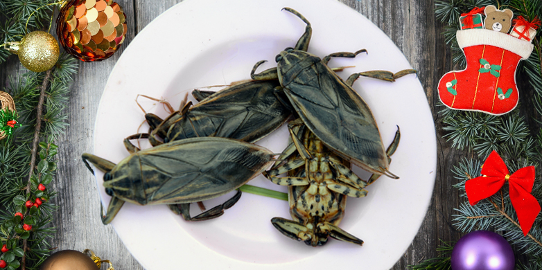 Vergr?sserte Ansicht: Insekten als kulinarischer Genuss