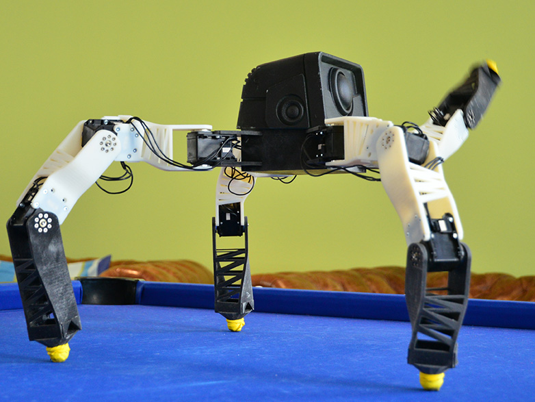 Vergr?sserte Ansicht: Winke, winke: Der Roboter schreitet auf zwei Beinen voran, dreht sich und winkt mit dem linken Vorderbein. (Bild: P. Rüegg/ ETH Zürich)