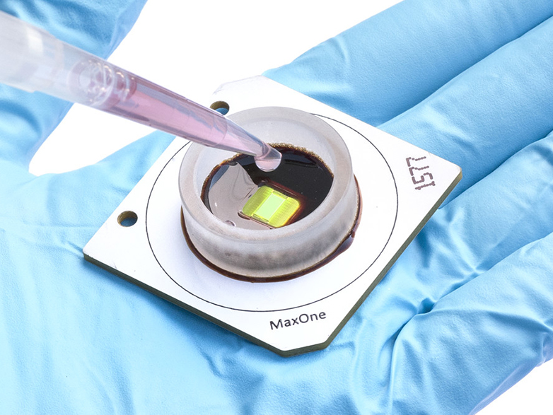 Vergr?sserte Ansicht: MaxOne: «MaxOne», die Mikroelektroden-Plattform für elektrophysiologische Zellanalysen (Bild: Maxwell Biosystems)