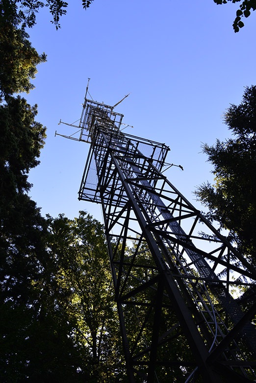 Vergr?sserte Ansicht: Hoch über dem Blätterdach, aber räumlich nicht hoch aufgelöst: Messungen des Gasaustauschs auf dem Turm der Lägeren.