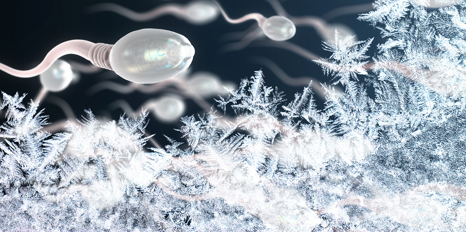 Kälte führt zu schlanken Nachkommen. (Bild: ETH Zürich /M. Pechal, T. Walter, P. Kurpiers)