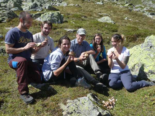 Adrian Leuchtmann (mit Mtze) und Artemis Treindl (r.) mit Studierenden beim Sammeln alpiner Steinpilze.