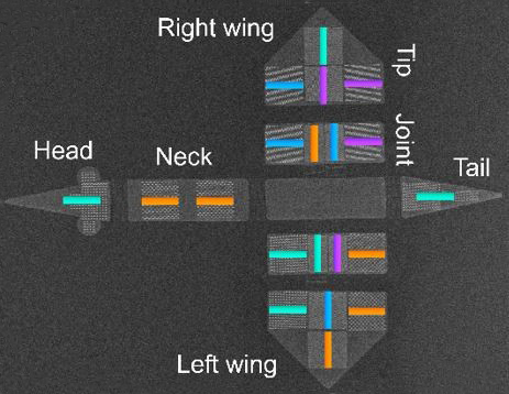 Vergr?sserte Ansicht: Die rasterelektronenmikroskopische Aufnahme zeigt das vogelartige Konstrukt mit Anordnungen von nanoskaligen Magneten. Die Magnete können in verschiedenen Ausrichtungen parallel zu den Farbbalken magnetisiert werden. (Bild: PSI / ETH Zürich)