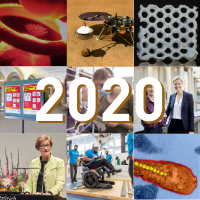 Bildcollage Jahresrückblick 2020