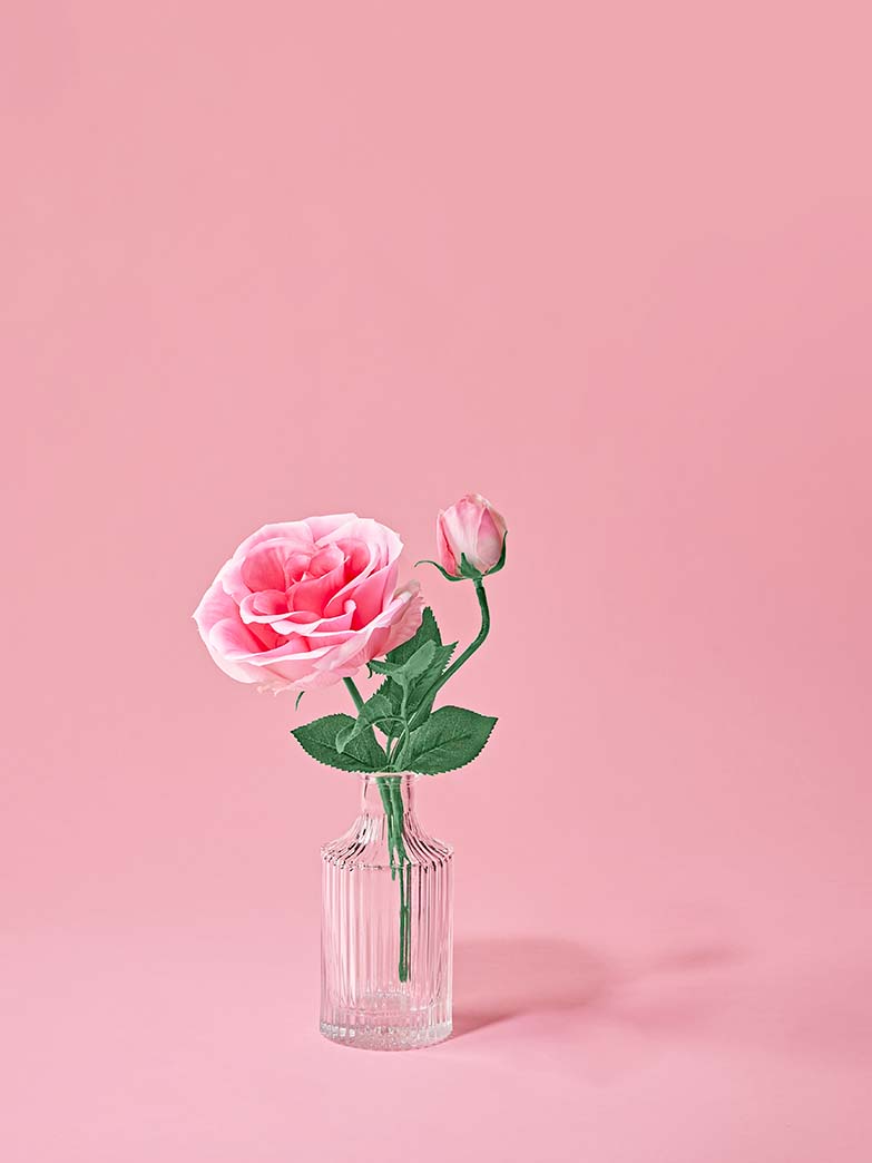 Rose in einer durchsichtigen Vase