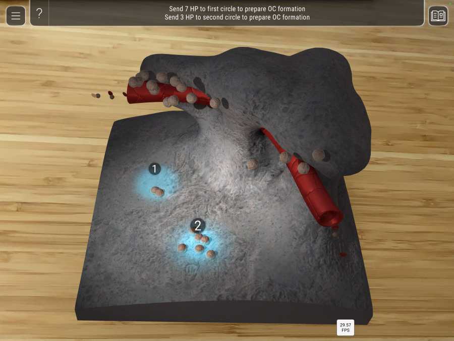 Videospiel-artige 3D-Animation, die eine Knochenoberfl?che mit Stammzellen darstellt.
