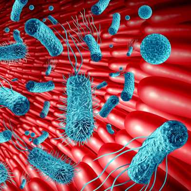 Illustration des Darms, rote Darmzotteln mit davor schwebenden Bakterien (hellblau)