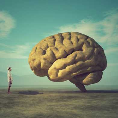 Person schaut sich eine Skulptur in Form eines menschlichen Gehirns an.