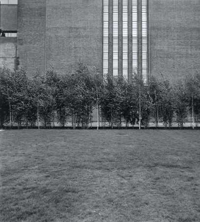 Schwarzweiss-Foto vom Birkenw?ldchen vor der Tate Modern