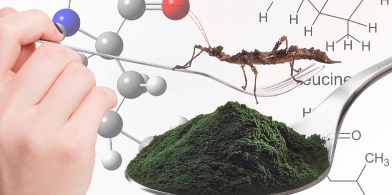 Enlarged view: Algae and Insects promis sustainable proteins.